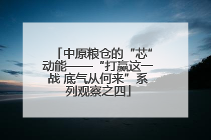 中原粮仓的“芯”动能——“打赢这一战 底气从何来”系列观察之四