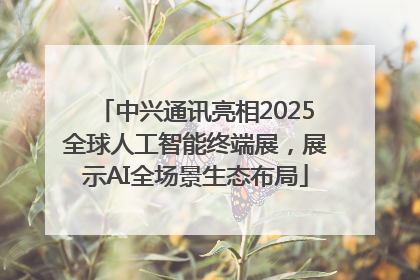 中兴通讯亮相2025全球人工智能终端展，展示AI全场景生态布局