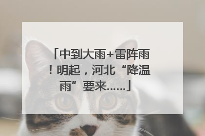 中到大雨+雷阵雨！明起，河北“降温雨”要来……