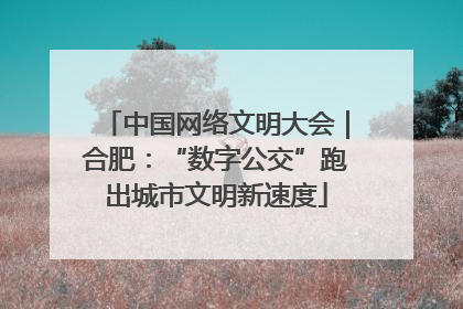 中国网络文明大会｜合肥：“数字公交”跑出城市文明新速度