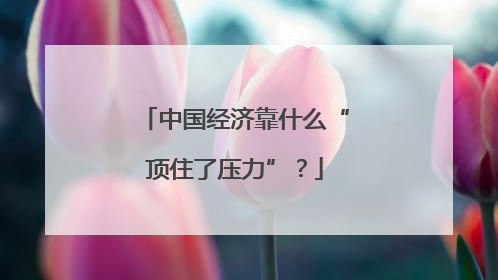 中国经济靠什么“顶住了压力”？