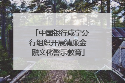 中国银行咸宁分行组织开展清廉金融文化警示教育
