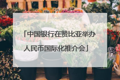 中国银行在赞比亚举办人民币国际化推介会
