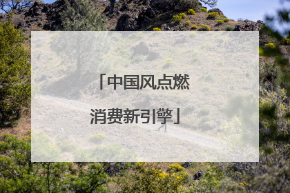中国风点燃消费新引擎