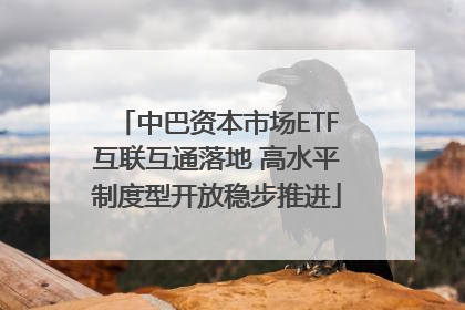 中巴资本市场ETF互联互通落地 高水平制度型开放稳步推进