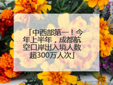 中西部第一！今年上半年，成都航空口岸出入境人数超300万人次