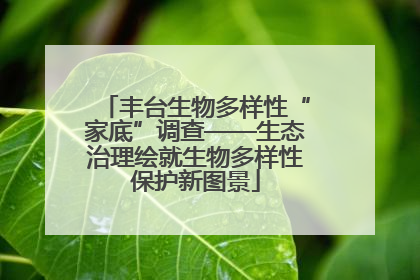 丰台生物多样性“家底”调查——生态治理绘就生物多样性保护新图景