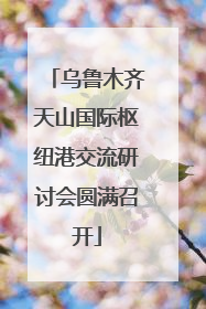 乌鲁木齐天山国际枢纽港交流研讨会圆满召开