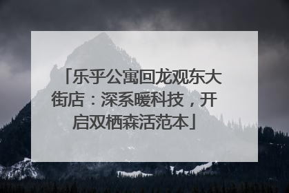 乐乎公寓回龙观东大街店：深系暖科技，开启双栖森活范本