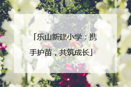 乐山新建小学：携手护苗，共筑成长