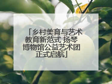 乡村美育与艺术教育新范式 扬琴博物馆公益艺术团正式启航