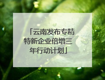 云南发布专精特新企业倍增三年行动计划