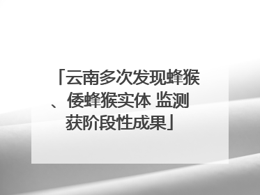 云南多次发现蜂猴、倭蜂猴实体 监测获阶段性成果