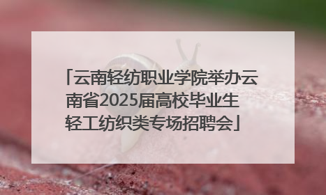 云南轻纺职业学院举办云南省2025届高校毕业生轻工纺织类专场招聘会
