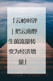 云岭时评｜把云南野生菌流量转变为经济增量