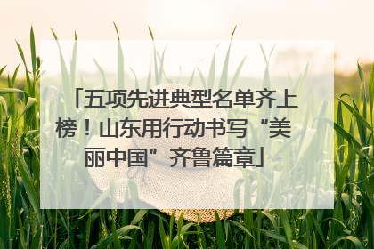 五项先进典型名单齐上榜！山东用行动书写“美丽中国”齐鲁篇章