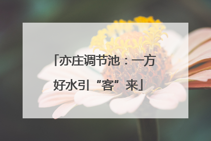 亦庄调节池：一方好水引“客”来