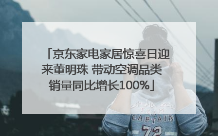 京东家电家居惊喜日迎来董明珠 带动空调品类销量同比增长100%