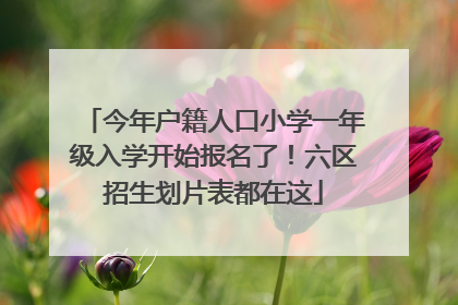 今年户籍人口小学一年级入学开始报名了！六区招生划片表都在这