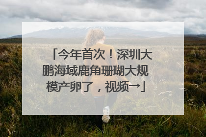 今年首次！深圳大鹏海域鹿角珊瑚大规模产卵了，视频→