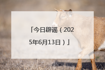 今日辟谣（2025年6月13日）