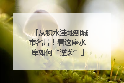 从积水洼地到城市名片！看这座水库如何“逆袭”