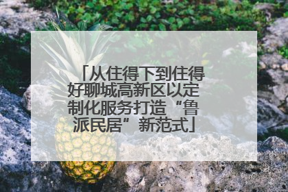 从住得下到住得好聊城高新区以定制化服务打造“鲁派民居”新范式