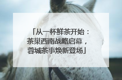 从一杯鲜茶开始：茶巢西南战略启幕，蓉城茶事焕新登场