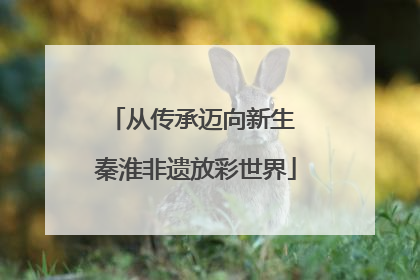 从传承迈向新生 秦淮非遗放彩世界