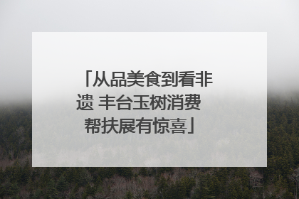 从品美食到看非遗 丰台玉树消费帮扶展有惊喜