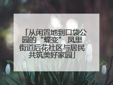 从闲置地到口袋公园的“蝶变” 凤里街道后花社区与居民共筑美好家园