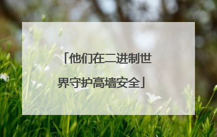 他们在二进制世界守护高墙安全