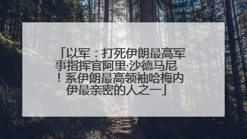 以军：打死伊朗最高军事指挥官阿里·沙德马尼！系伊朗最高领袖哈梅内伊最亲密的人之一