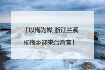 以梅为媒 浙江兰溪杨梅乡迎来台湾客