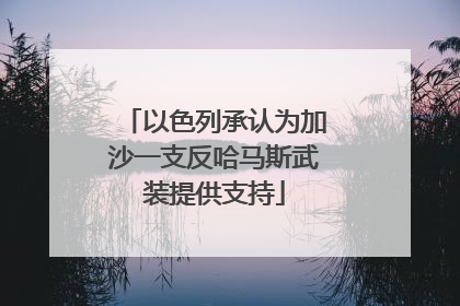 以色列承认为加沙一支反哈马斯武装提供支持