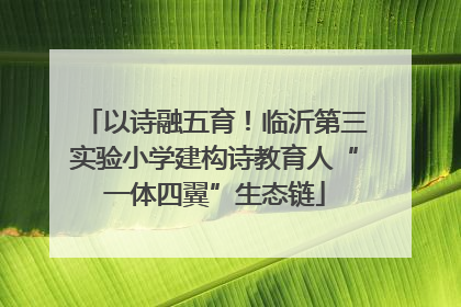 以诗融五育！临沂第三实验小学建构诗教育人“一体四翼”生态链