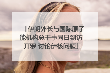 伊朗外长与国际原子能机构总干事同日到访开罗 讨论伊核问题