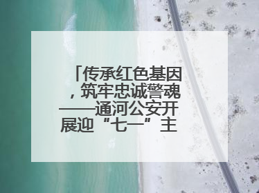 传承红色基因，筑牢忠诚警魂——通河公安开展迎“七一”主题党日活动