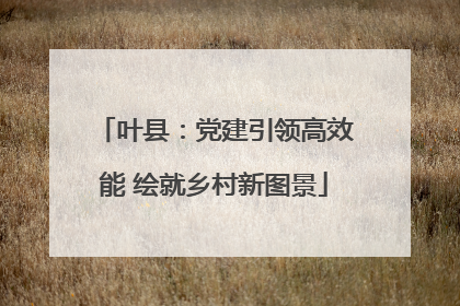 叶县：党建引领高效能 绘就乡村新图景