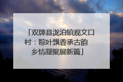 双牌县泷泊镇观文口村：粽叶飘香承古韵 乡情凝聚展新篇