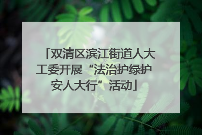 双清区滨江街道人大工委开展“法治护绿护安人大行”活动