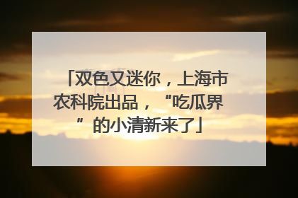 双色又迷你，上海市农科院出品，“吃瓜界”的小清新来了