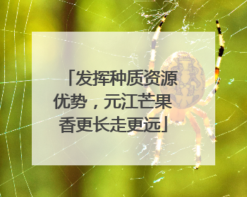 发挥种质资源优势，元江芒果香更长走更远