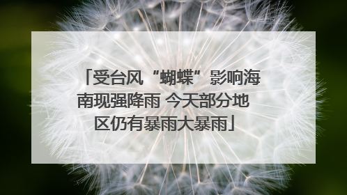 受台风“蝴蝶”影响海南现强降雨 今天部分地区仍有暴雨大暴雨