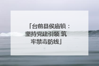 台前县侯庙镇：坚持党建引领 筑牢禁毒防线