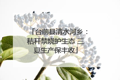 台前县清水河乡：秸秆禁烧护生态 三夏生产保丰收