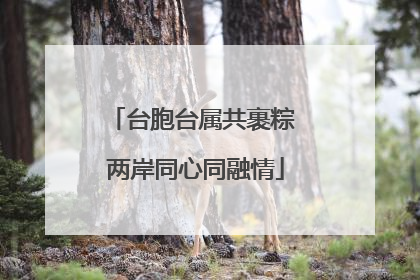 台胞台属共裹粽 两岸同心同融情