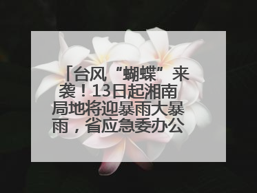 台风“蝴蝶”来袭！13日起湘南局地将迎暴雨大暴雨，省应急委办公室发布汛情提醒