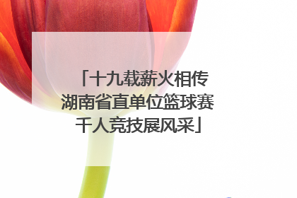 十九载薪火相传 湖南省直单位篮球赛千人竞技展风采