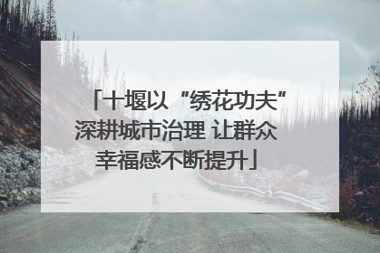 十堰以“绣花功夫”深耕城市治理 让群众幸福感不断提升